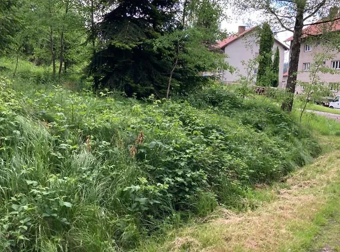 Pod Loukou Pohorská Ves *